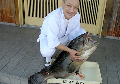 幻の魚くえの画像