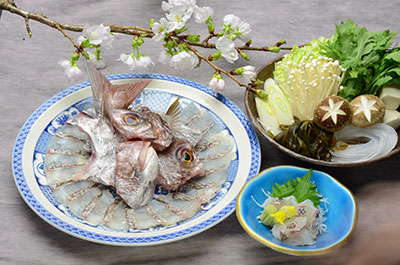 桜鯛しゃぶしゃぶ鍋コース（5月末まで）の画像
